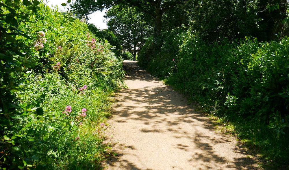 Le chemin en grou pour accéder aux jardins clos